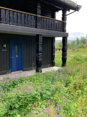 a house with a blue door in a field of flowers at Family-Friendly 2-Bedroom With Terrace And Sauna in Beitostøl