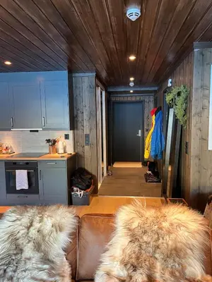 a living room with a couch and a person wearing a costume at UNIQUE, Central Apartment at Geilo in Hol