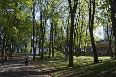 a person walking a dog on a path in a park at Historic Bergen house, right in the middle of everything! in Bergen