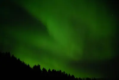an aurora in the sky with trees in the foreground at Cozy Cabin Retreat in Scenic Valley, E6 south of Trondheim in Storen