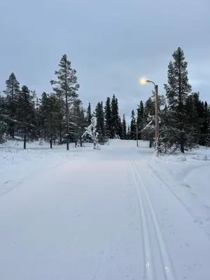 Gallery image of Trailside Studio N4 in Hemsedal