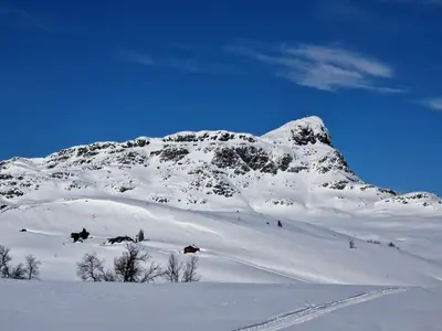a snow covered mountain with a group of horses in the snow at Newly renovated, centrally located family cabin with mountain view in Beitostøl