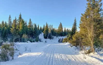 a road covered in snow with trees in the background at Gorgeous Home In Svingvoll in Svingvoll