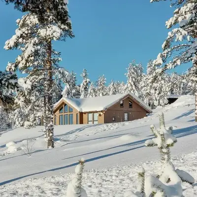 Experience Mountain Magic At Bringsfjellet