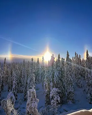 a snow covered forest with the sun in the background at Ski-In Ski-Out Apartment In Trysil in Trysil