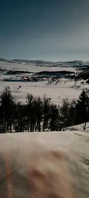a view of a field with trees in a field at Cozy Cabin With A Beautiful View in Øygardsgrend