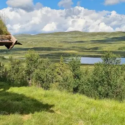 Cozy Cabin With A Beautiful View