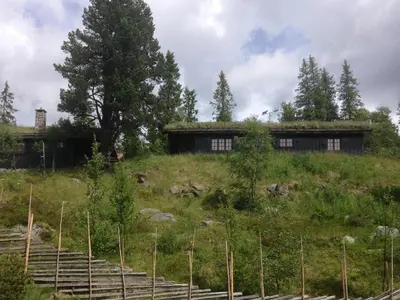 a house with a grass roof on top of a hill at Mountain Cabin With Views And Close To Ski Trails in Aurdal
