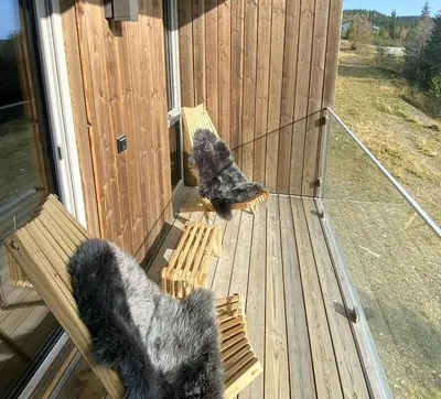 two dogs sitting on a bench on a porch at Lovely, New Apartment At Kvitfjell With Ski-In Out in Fåvang