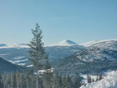a tree on the side of a mountain with snow at Modern Cabin With Panoramic View On Bringsfjellet in Lalm