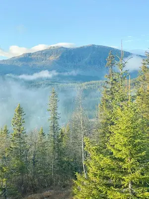 a view of a mountain with trees and clouds at Architectural Gem Near Cross Country Trails in Eggedal