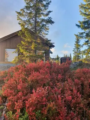 a garden with red flowers in front of a building at Fantastic Forest Cabin With Panoramic View in Jaren
