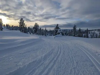 a snow covered road with trees in the distance at Modern Cabin By Snøhetta At Blefjell in Svene