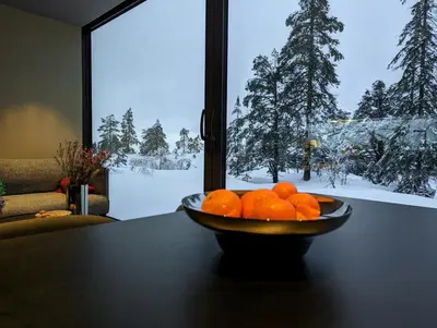 a bowl of oranges on a table in front of a window at Modern Cabin By Snøhetta At Blefjell in Svene