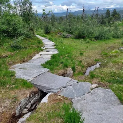 a stone path on a hill with grass and trees at Unique Cabin By The Ski Slope In Hovden in Hovden