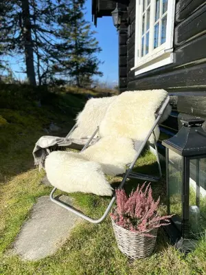 a chair sitting outside of a house with a plant at Log Cabin With Modern Style Near Vardefjell in Etnedal
