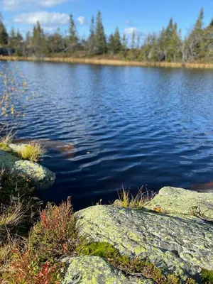 a large body of water with rocks and trees at Log Cabin With Modern Style Near Vardefjell in Etnedal
