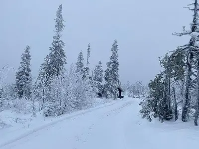 a snow covered road in a forest with trees at Log Cabin With Modern Style Near Vardefjell in Etnedal