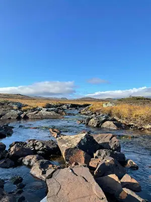 a river with rocks in the middle of a field at Rustic Log Cabin At The Foot Of Hardangervidda in Uvdal