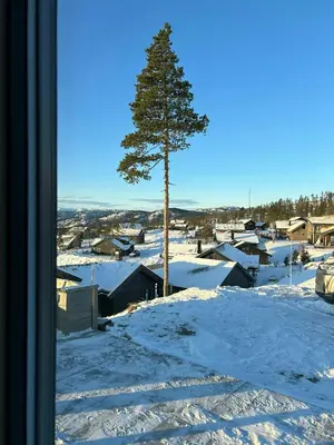 a tree in the snow next to a village at Cabin With Panoramic Views In Turufjell in Flå