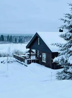 a log cabin in the snow with a tree at Family Cabin With Ski Inout At Furutangen in Vika