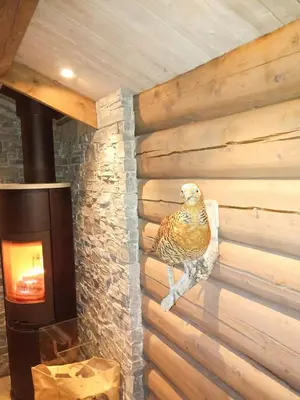 a bird on a wall next to a fireplace at Mountain Cabin With A View Over Jotunheimen in Tretten