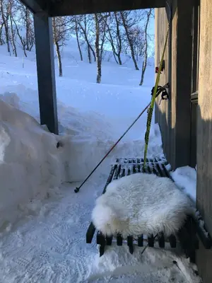 a dog laying on a swing in the snow at Cabin With Panoramic And Ski Trails Outside in Rauland