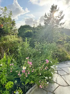 a garden with pink flowers on a stone path at Charming Cottage At The Edge Of The Sea in Lykling