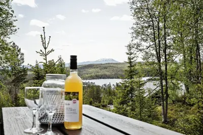a bottle of wine and two wine glasses on a table at Mountain Cabin With Great Views in Austbygdi