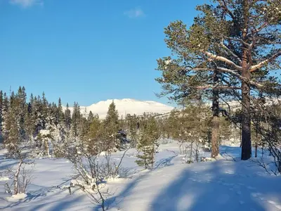 a snow covered field with trees and a mountain at Mountain Cabin With Stunning Views, Sauna & Lake in Eggedal