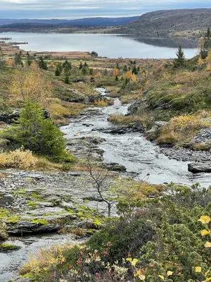 a river in a field next to a body of water at Modern Mountain Cabin With Nature In Valdres in Løken