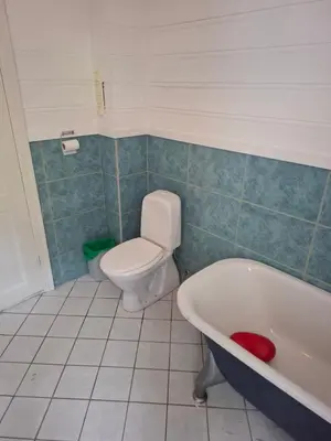 a bathroom with a toilet and a bath tub at Jordamorstova in Aurland
