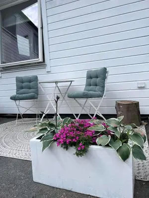 two chairs and flowers in a planter in front of a house at Cozy studio near Bergen in Bergen