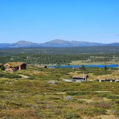 Varden