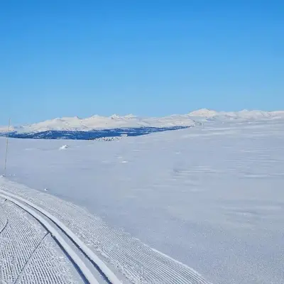 Utsikten