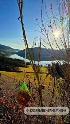 a green bag hanging from a tree in a field at Knobelauch Family Home, Valdres in Vøle