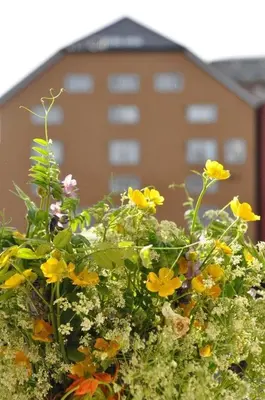 a bunch of flowers in front of a building at Nice two-floor home by Gamle bybro in Trondheim