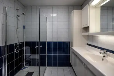 a bathroom with a shower and a sink and a toilet at Bakkebyvegen 15A in Trysil