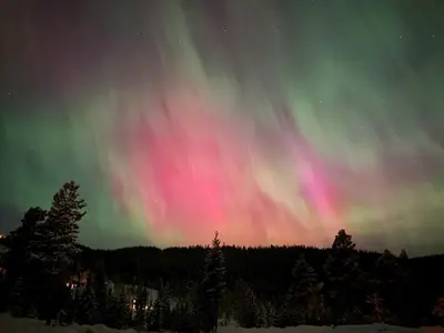 an aurora in the sky at night with trees at Newly renovated cabin in Nesfjellet, Nesbyen in Nesbyen