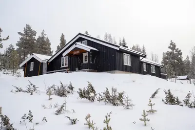 a black cabin in the snow with trees at Newly renovated cabin in Nesfjellet, Nesbyen in Nesbyen