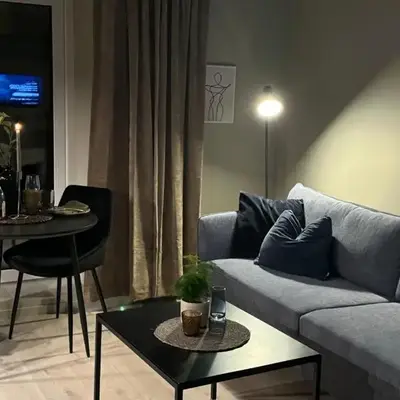 Comfort Apartment in Lone Only 20 minutes away from the heart of the city!