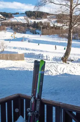 a pair of skis sitting on a rail in the snow at Alpinlandsbyen - Ski in - Ski out -Nr 34 in Hafjell