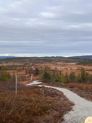 a dirt road in the middle of a field at Veslekoia - Grandmas Cabin in Øksna