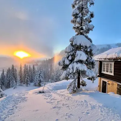 Cozy cabin apartment