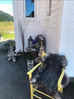 a yellow bench sitting outside of a house at Holiday house Vindafjord Norway in Ølsvågen