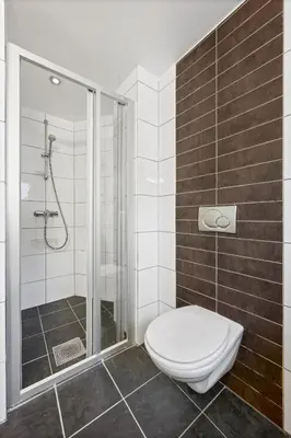 a bathroom with a toilet and a shower at Modern Apartment in 1840-Building at Nordnes in Bergen