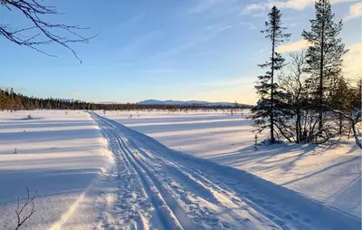a snow covered field with tracks in the snow at 3 Bedroom Cozy Home In Rendalen in Rendalen