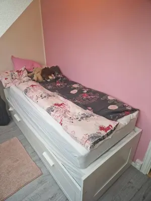 a bed with a dog laying on top of it at Sentrumsnær stor leilighet in Trondheim