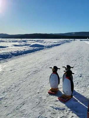 Gallery image of Cottage 120m2-Gardermoen-nature-skiing and hiking in Lunner