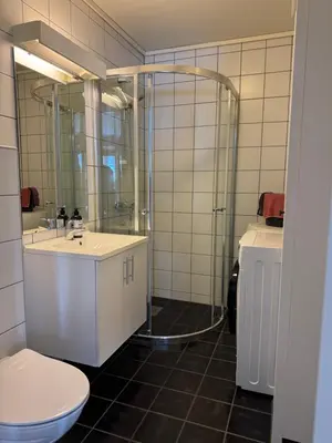 a bathroom with a shower and a sink and a toilet at Apartment Røldal in Håra